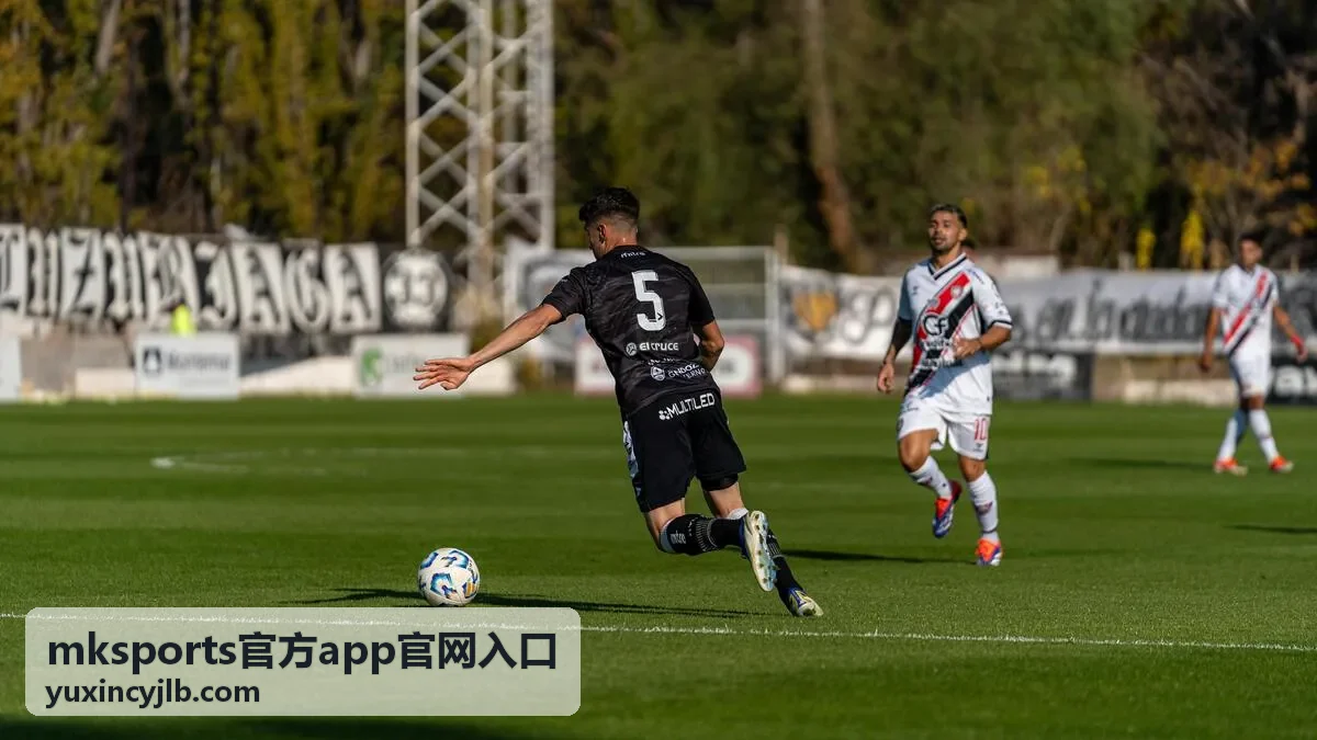 mksports官方app官网入口常用功能组合示意